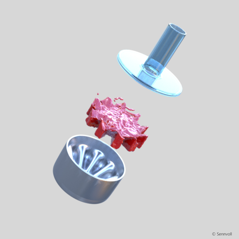 Food Processing Industries